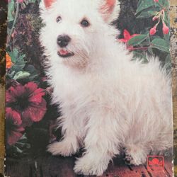 Garden Pup 100 Piece Jigsaw Puzzle, 11 1/2" x 15", ages 5 to 10. 