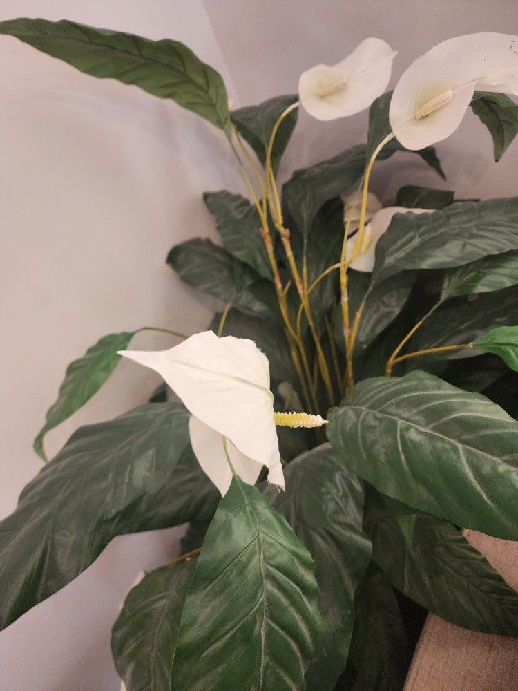 Artificial House / Indoor Plant Fake Tree All 3