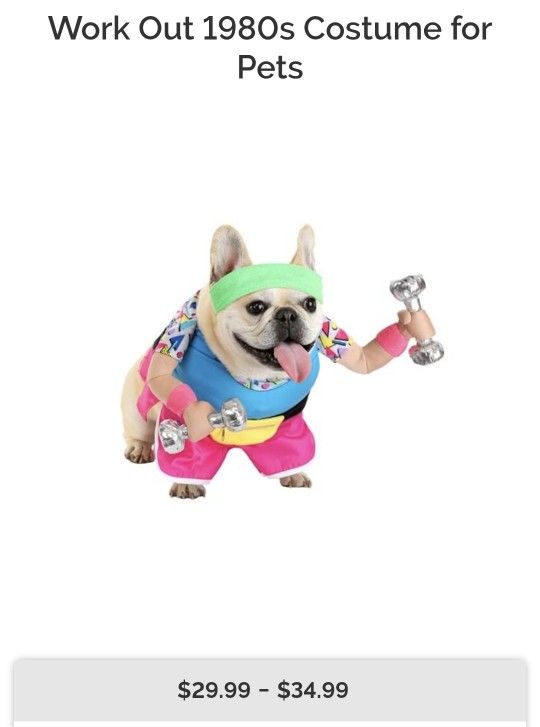 Work Out 1980s Costume for Pets