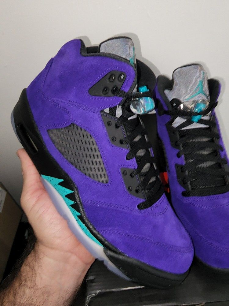 Jordan 5 Alternative Grape