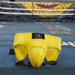 Boxing Abdominal Protector 