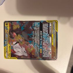 Reshiram & Zekrom Gx Tag Team Promo 