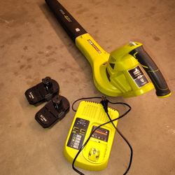 Ryobi Cordless/Electric Blower 