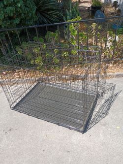 Large Dog Kennel