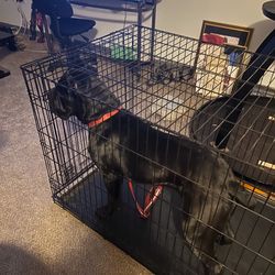 Dog Cage For Sell Brand New