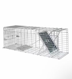 Large Collapsible Live Animal Cage Trap for Raccoon, Opossum, Groundhog, and Feral Cats