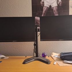 Monitor Setup