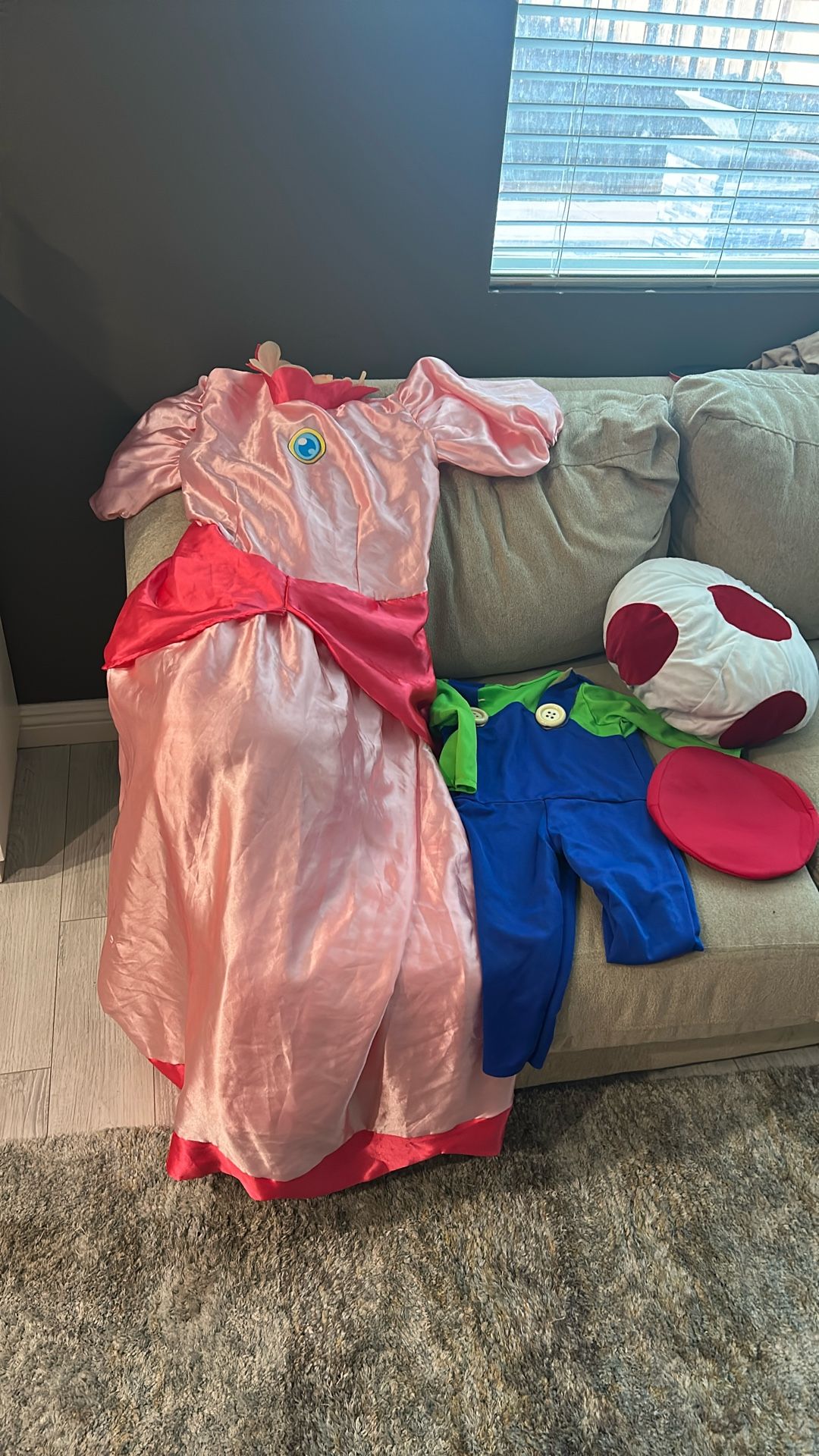 Super Mario Theme costumes