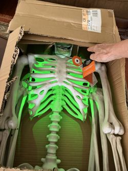 Posable Skeleton 5Ft (1.5 M)