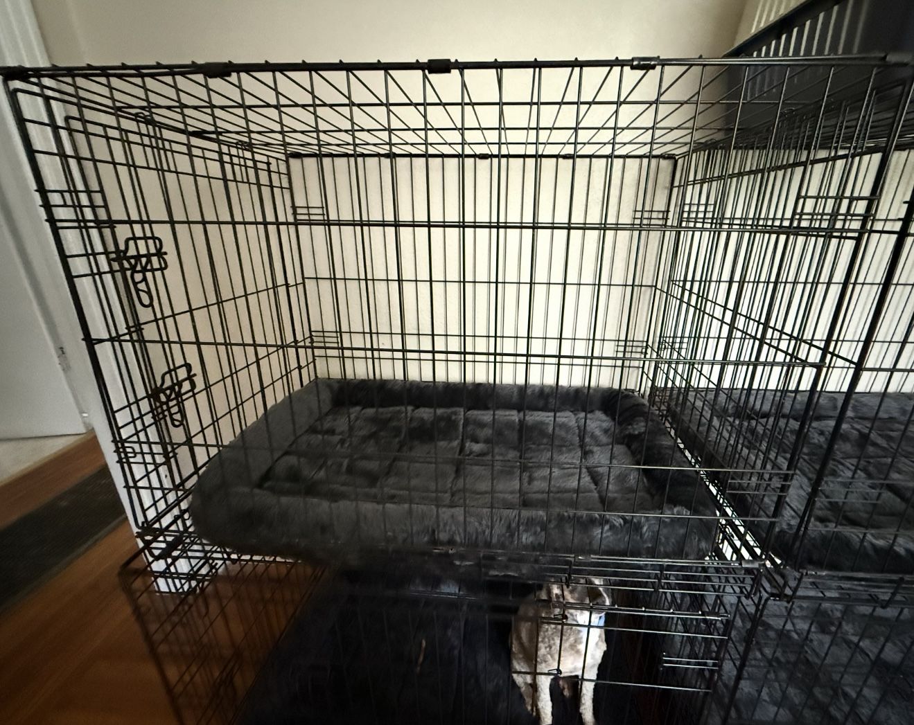 Dog Crate