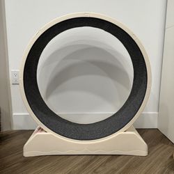 Cat Wheel 31.5-in Custard Color 