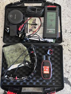 CHAMELEON MARTIN SYSTEM E-COLLAR