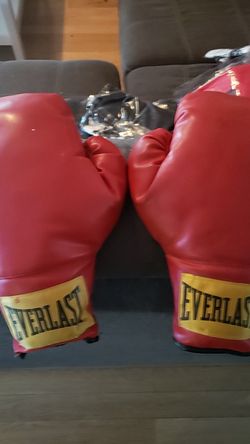 Everlast boxing gloves