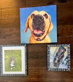 3-Piece Dog Art & Photo Frame Set (Canvas & Glass Frames)