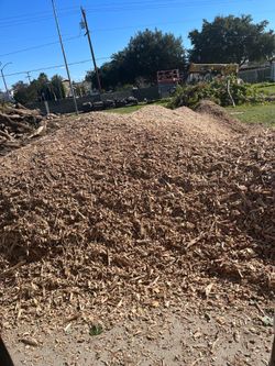 Free Fire wood or Mulch mix with wood chip