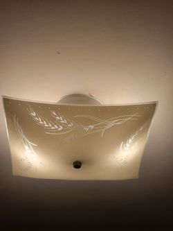 Ceiling Light Fixture