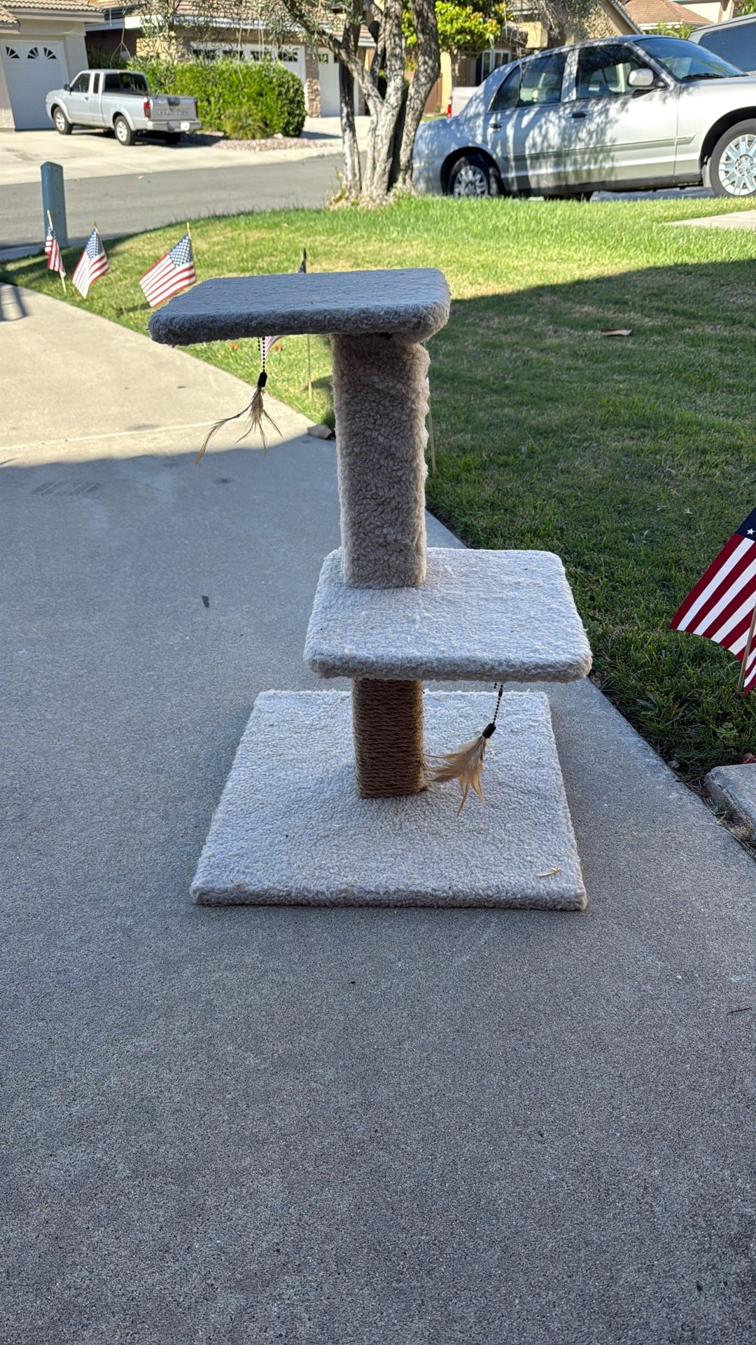Cat Chair And Scratcher