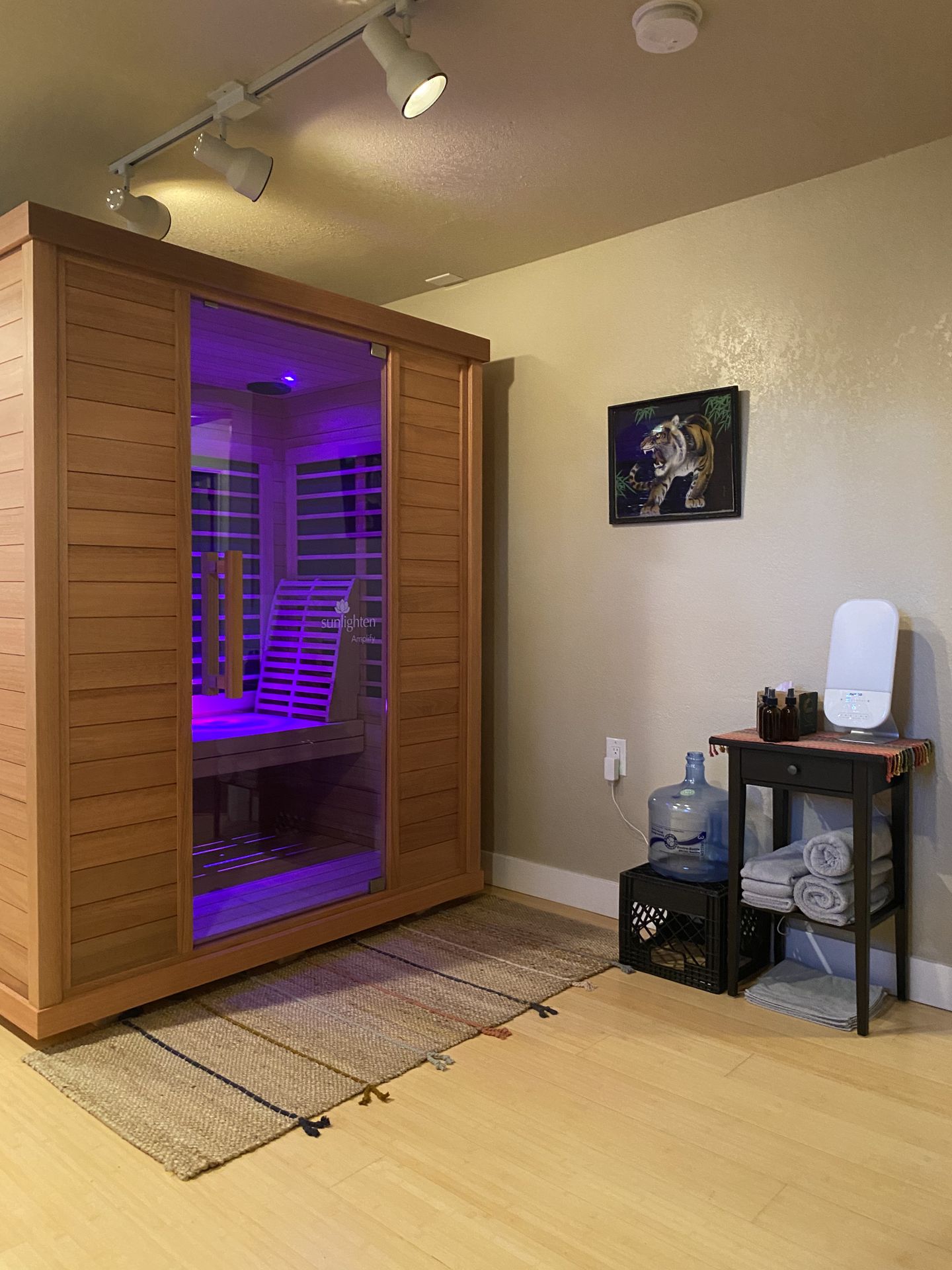 High End Full Spectrum Infrared 3 person sauna