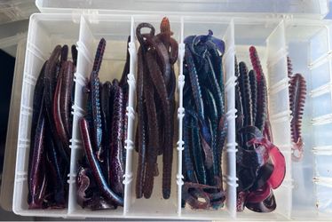 Assorted Soft Plastic Fishing Lures plastic worms