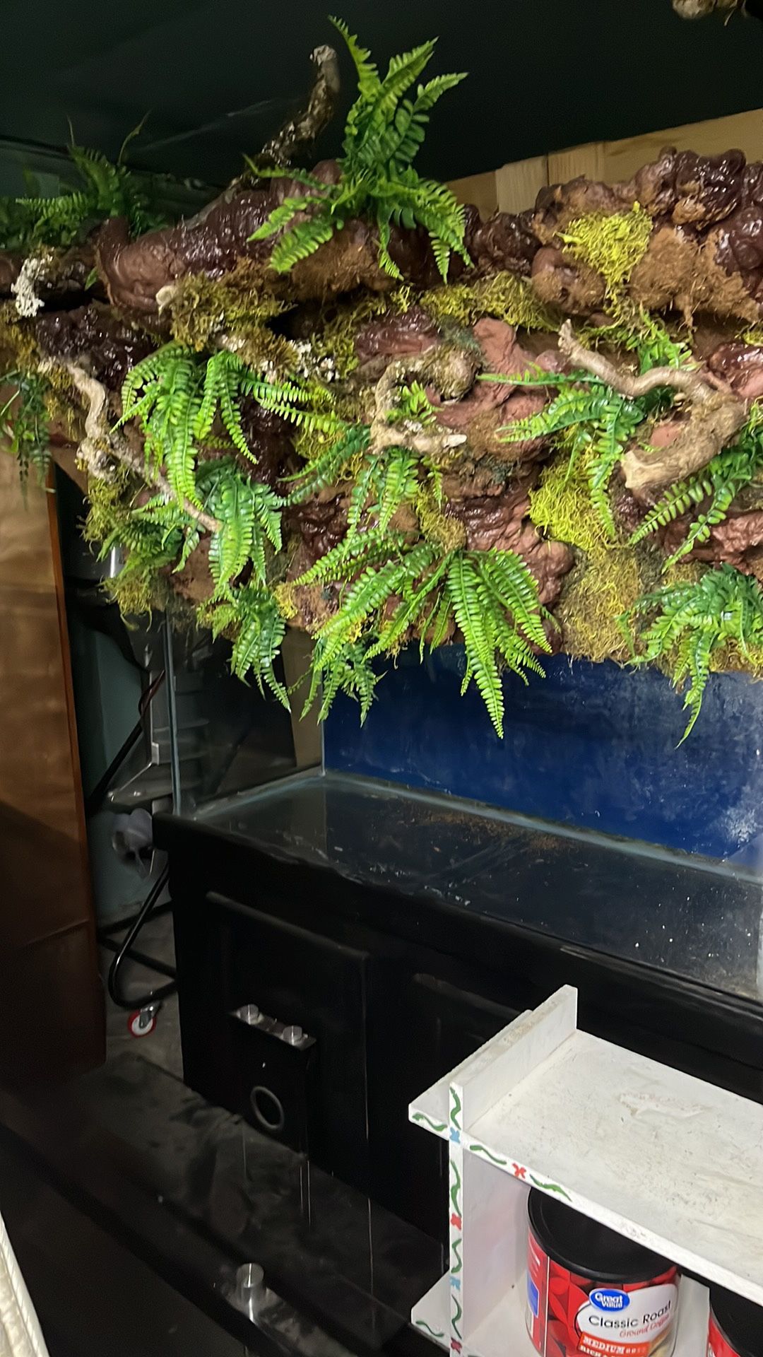 75 Gallon Fish Tank, Stand, And Custom Hood I Made