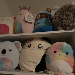 Squishmallows 