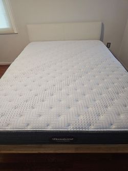 Firm Queen-Sized Mattress with Platform Bedframe