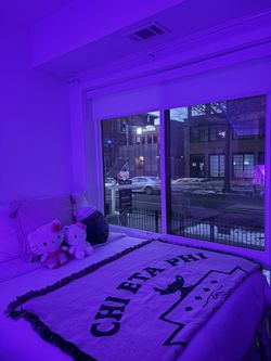Mattress / Bed Frame