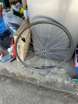 Campagñolo bike rin