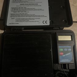 Electronic Scale 
