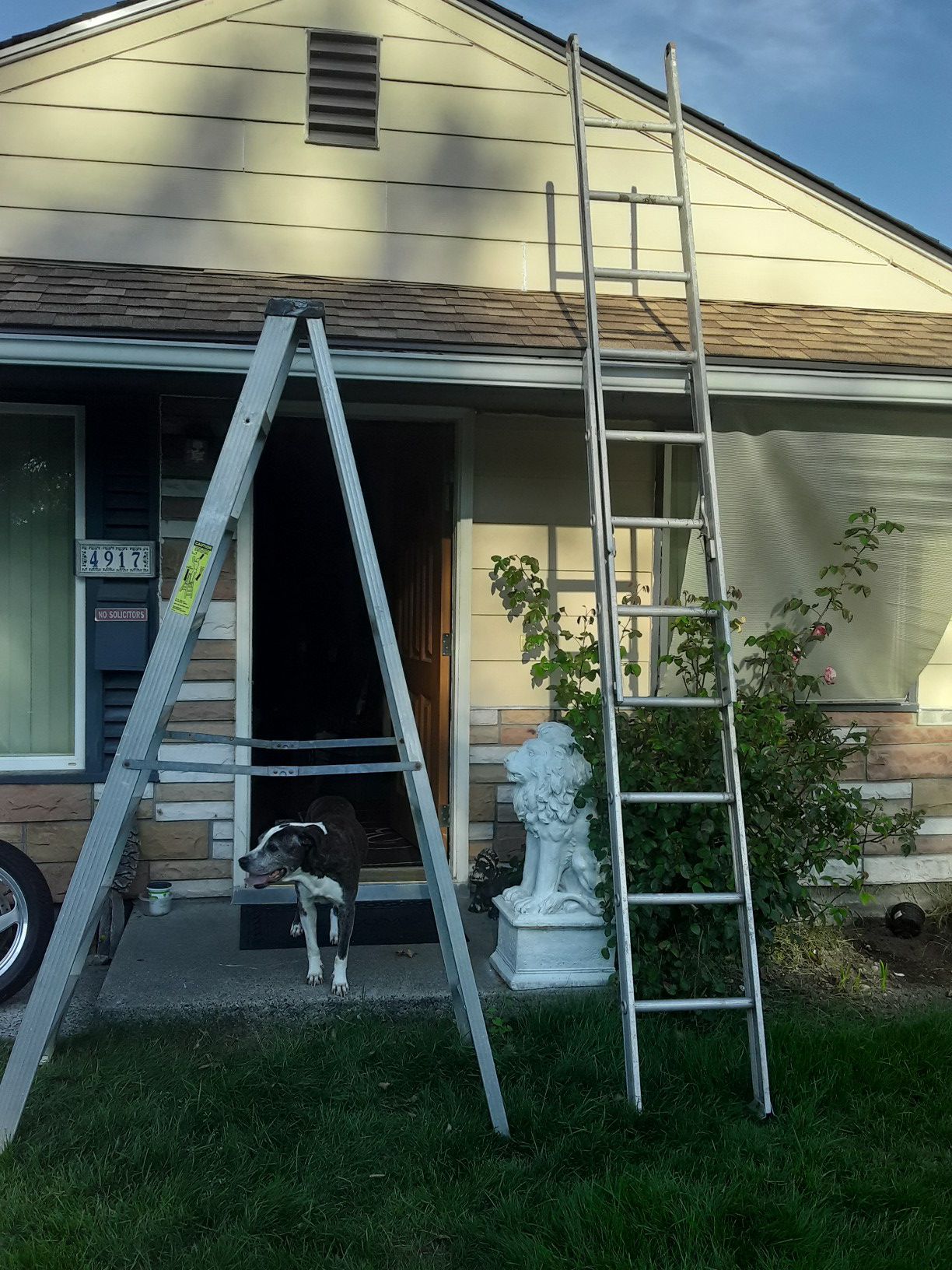 Ladders for sale 50 bucks for both firm