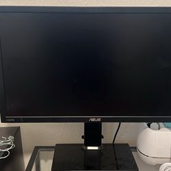 ASUS Monitor