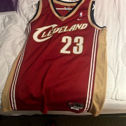 First lebron jersey they came out with