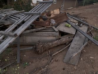 Free Pile Of Wood.
