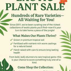 Today and Tomorrow Exotic Plant Sales