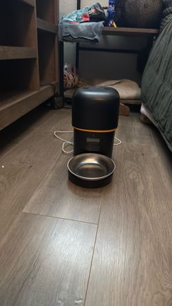 Automatic cat feeder