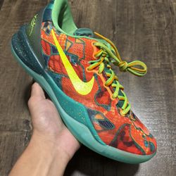 Kobe 8 Protro WTK