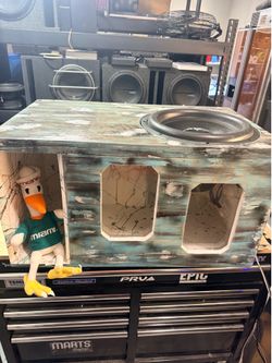 Skar Evl 15 in custom box with Skar 2000 watt amp