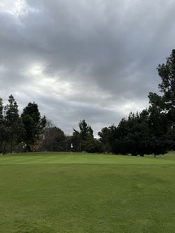 Golf Ls