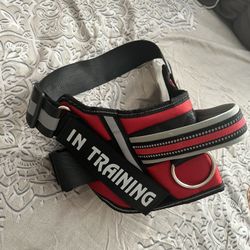 Large Dog Harness 