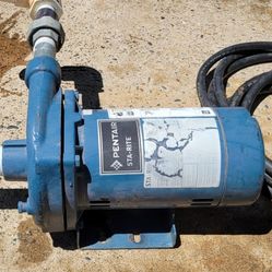 Pentagram Sta-rite 3/4hp Centrifugal Pump
