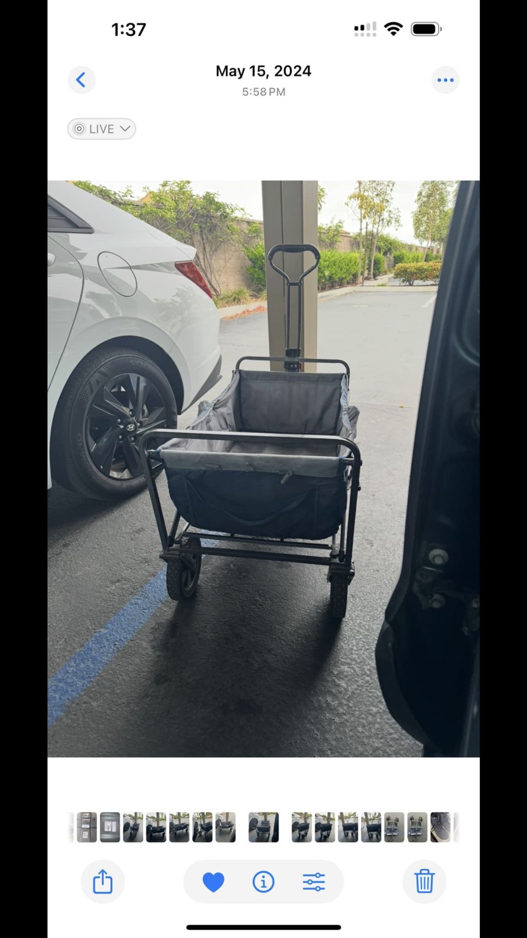 Trail Folding Wagon