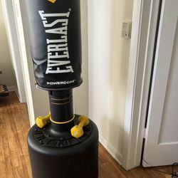 Everlast Powercore Free Standing Indoor Rounded Heavy Duty Fitness Training Bag