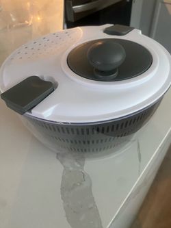 Salad spinner