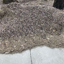 Landscape Gravel