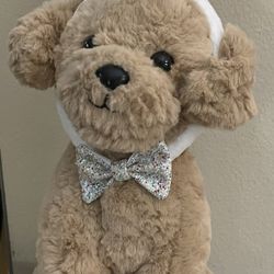 Wear Or Share Doggie Plush