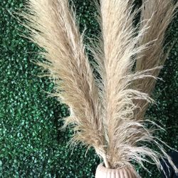Bouquet Of Pampas And Vase
