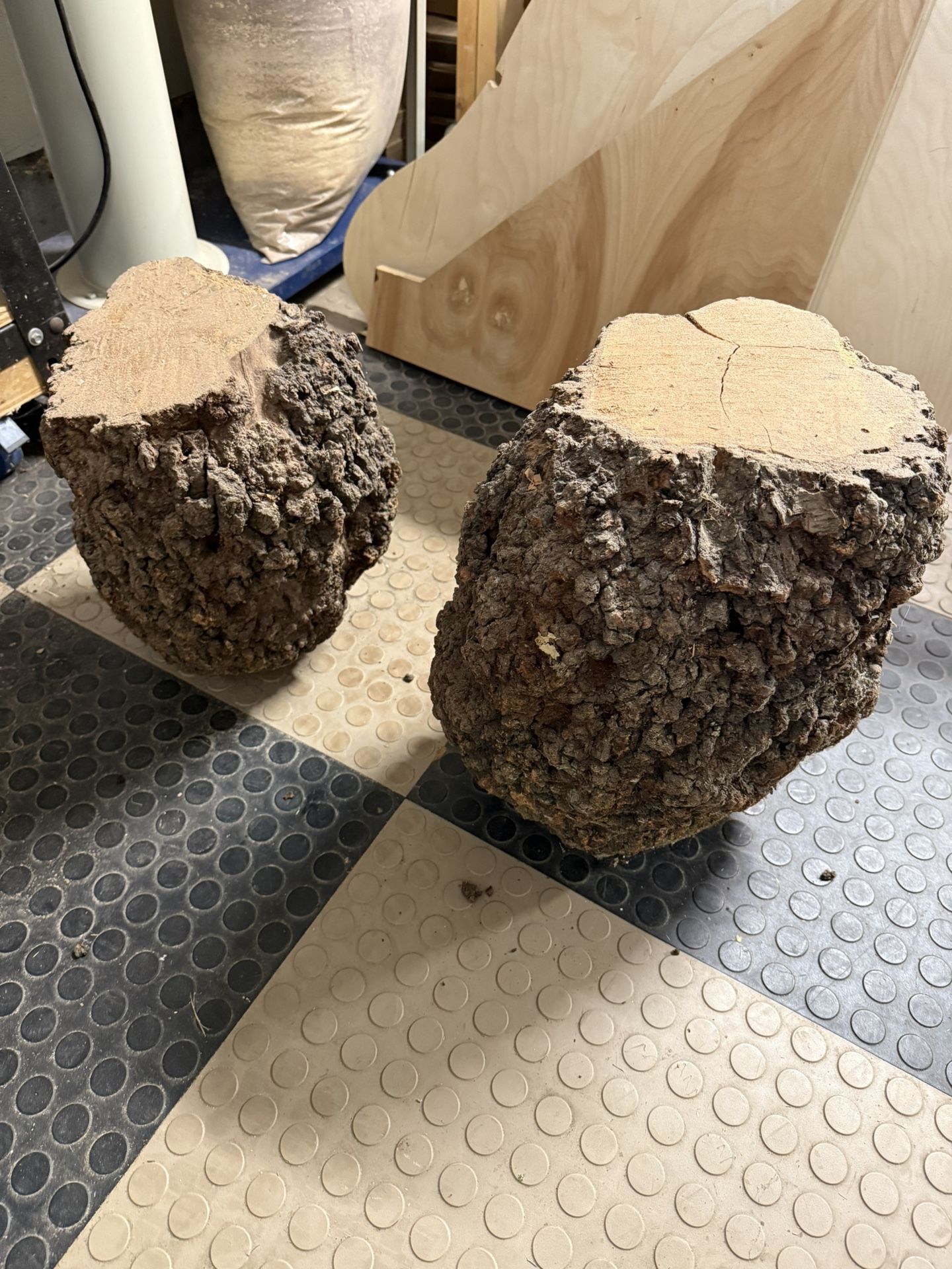 Burls. $10 Each