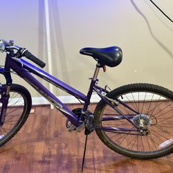 Schwinn
