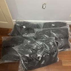 Bulk Canada Goose