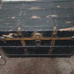Old Trunk 